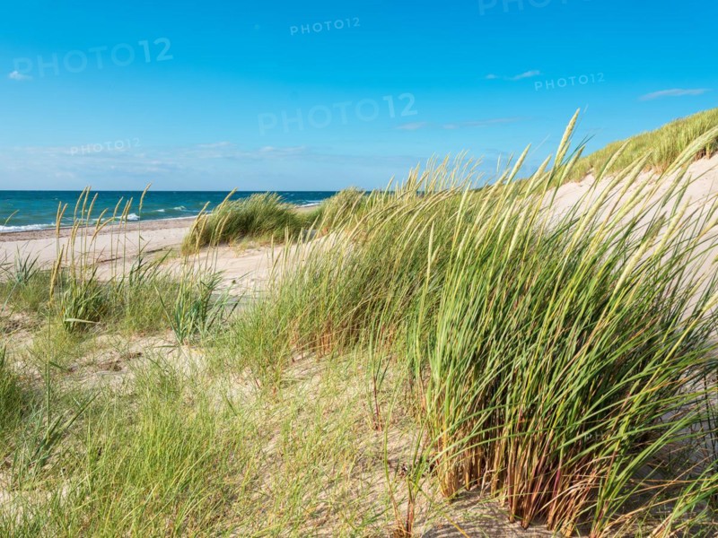 Summer day by the sea
