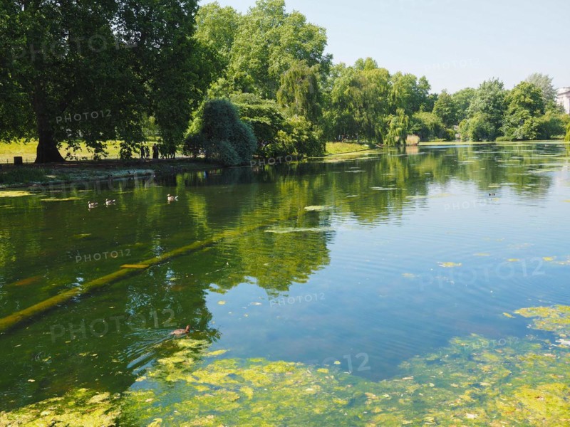 St James's Park in London