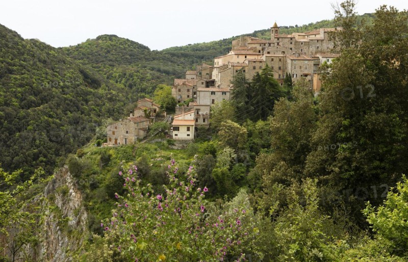 Town View Sassetta
