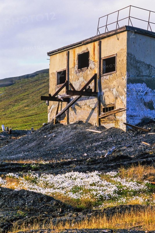 Old mine building on Spitsbergen with blooming cotton grass