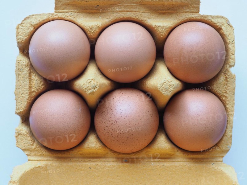 Eggs in carton