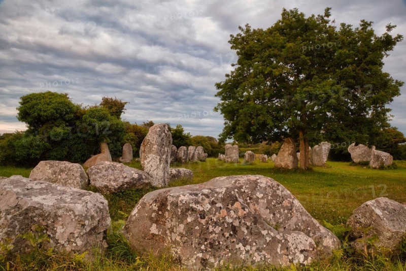 Megalithic stone rows from Kerzerho