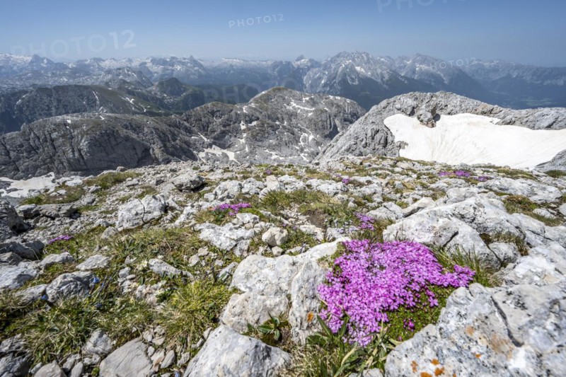 View of mountain panorama with Hohem Brett