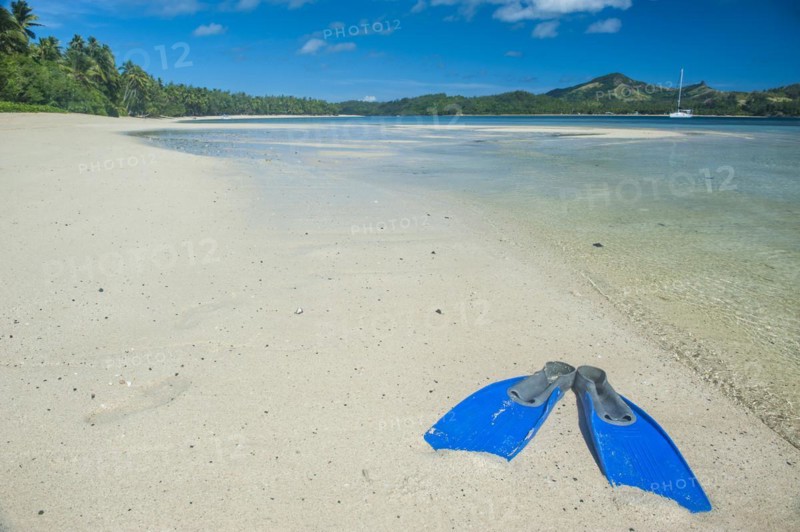 Flippers in the water of the blue lagoon