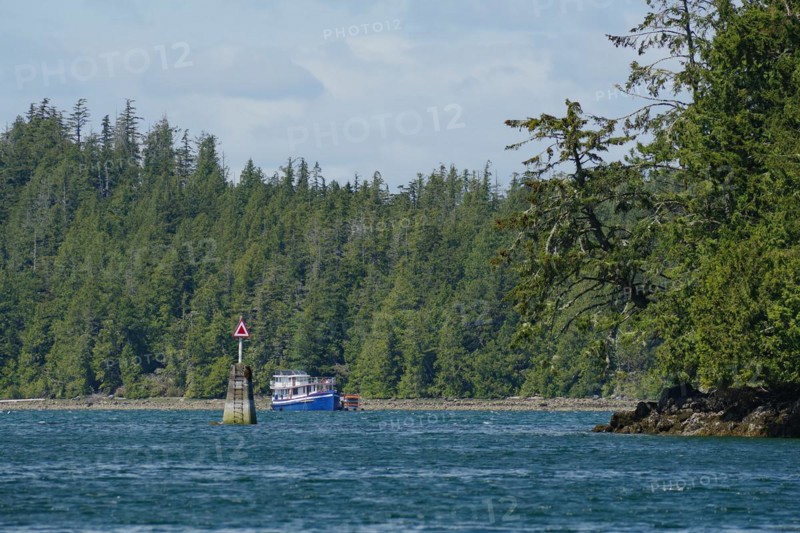 Dense forest and small fishing boat