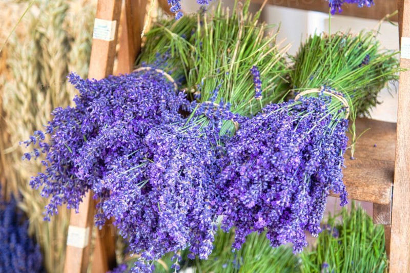 Bouquet of lavender at market