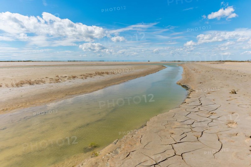 Typical landscape in a lagoon of the Rhone delta in the Camargue. Saintes Maries de la Mer