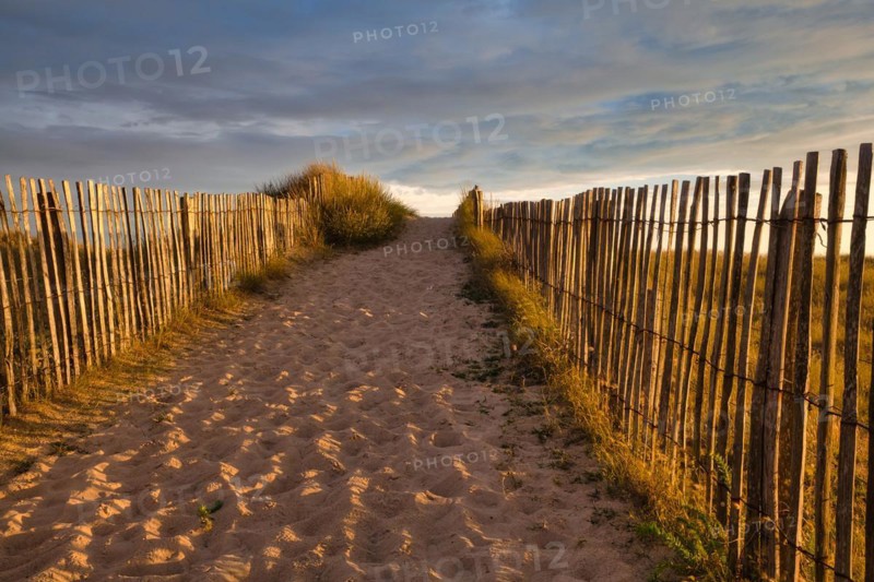 Evening atmosphere on the beach