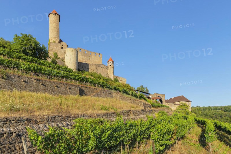 Hornberg Castle