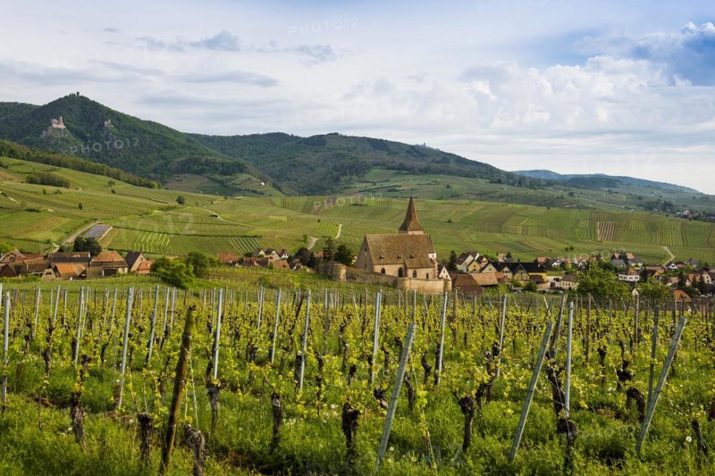 Church in the vineyards