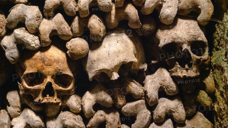 Human skulls and bones