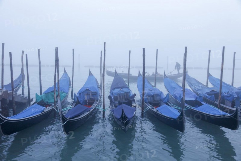 Moored gondolas at the Bacino di San Marco in the fog
