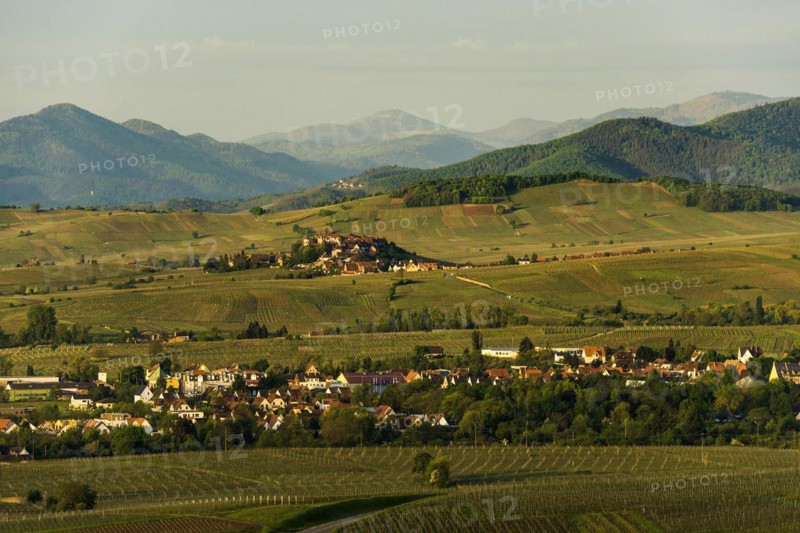 Medieval village in the vineyards