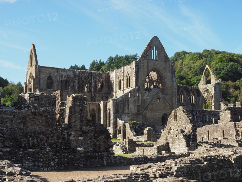 Tintern Abbey