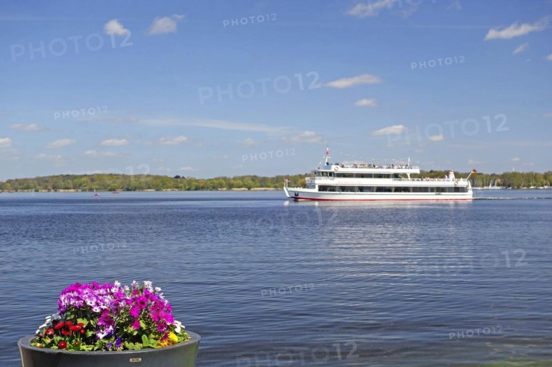 Flower arrangement