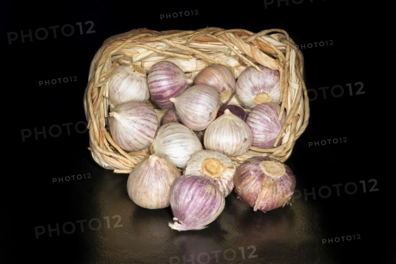Tubers of alpine broad-leaf allium