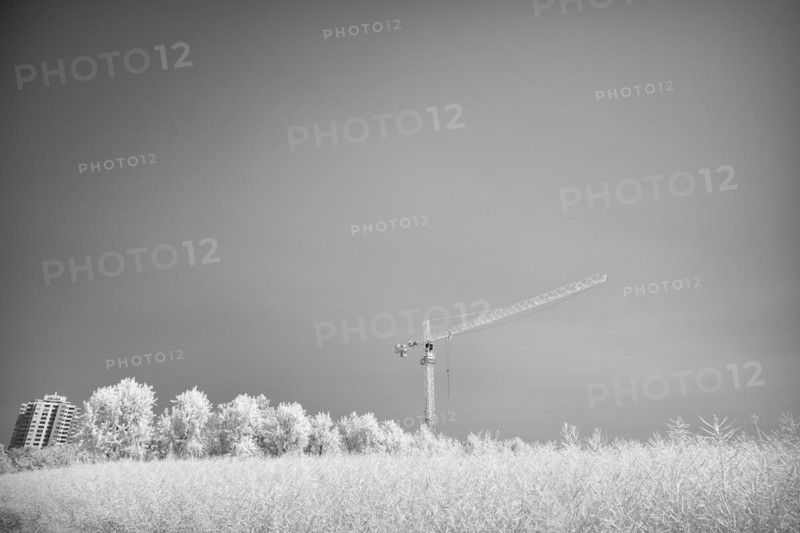Grain field