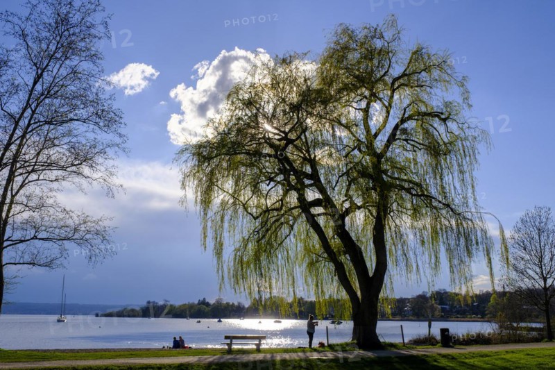 On the lakeside promenade