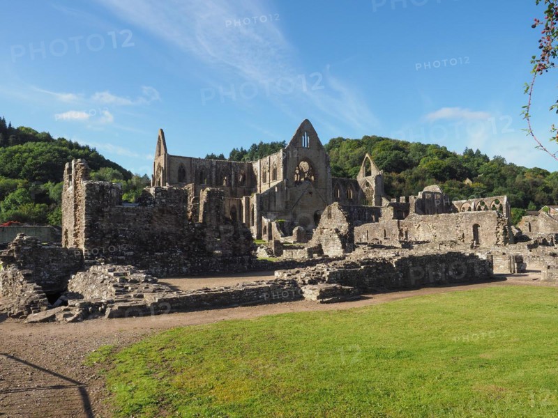 Tintern Abbey