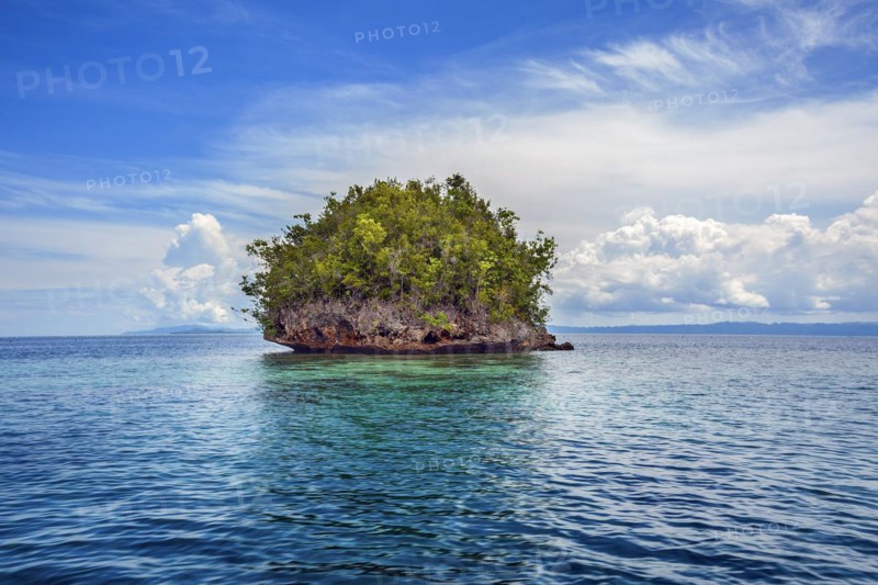 Wooded limestone islet in the Dampier Strait