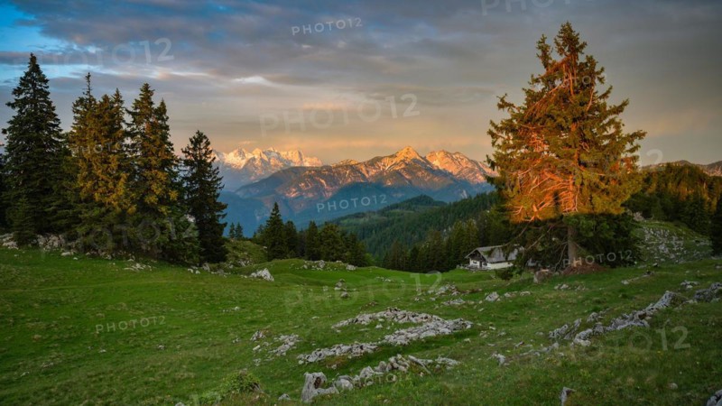 Mountain hut on the Kohler Alm with Sonntagshorn at sunrise