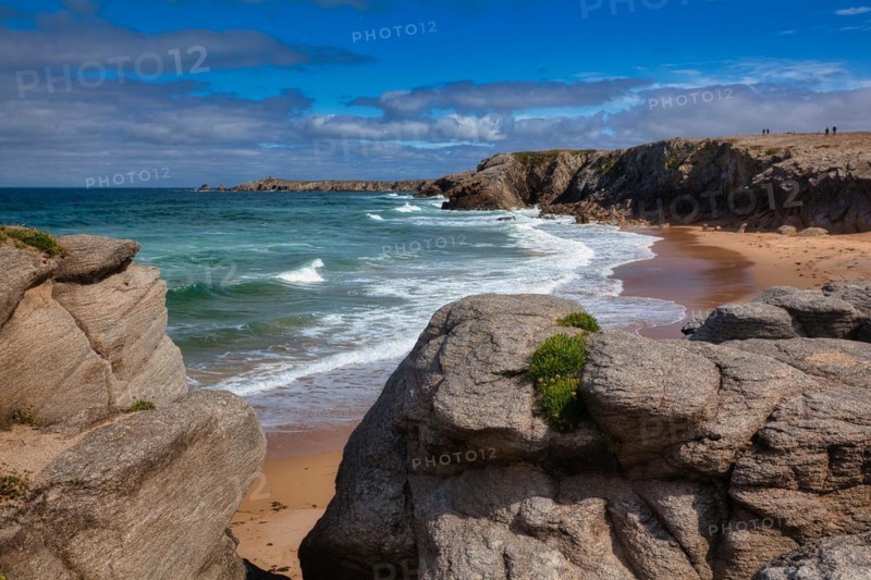 Wild Coast