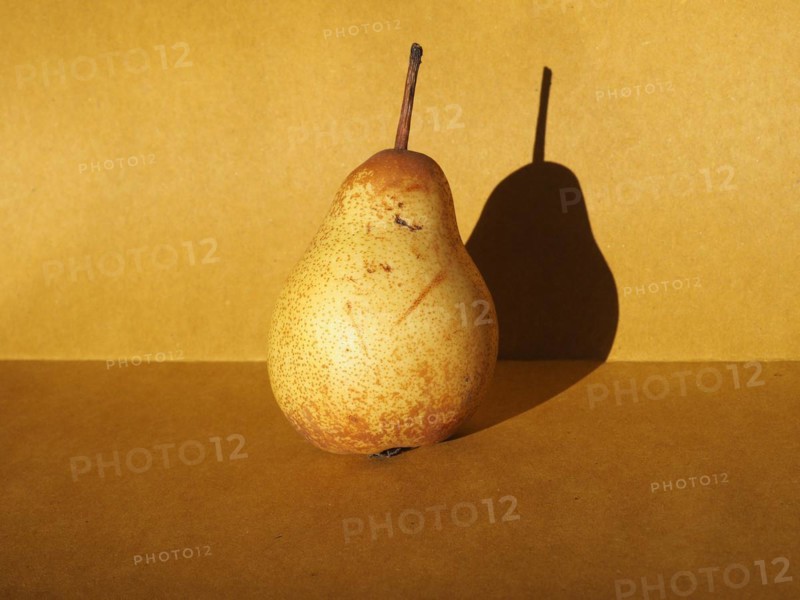 Pear fruit still life