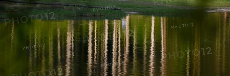 Reflections of trees on the Weitsee lake in Chiemgau convey a feeling of summer and nature