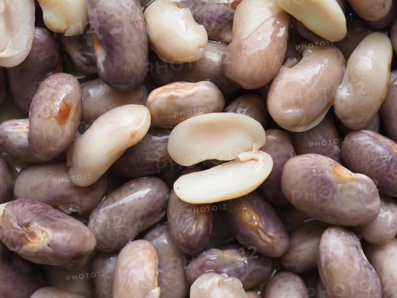 Crimson beans legumes vegetables food