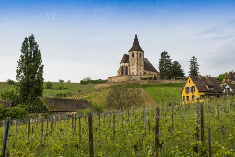 Church in the vineyards