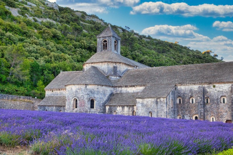 Cistercian Abbey Abbaye Notre-Dame de Senanque