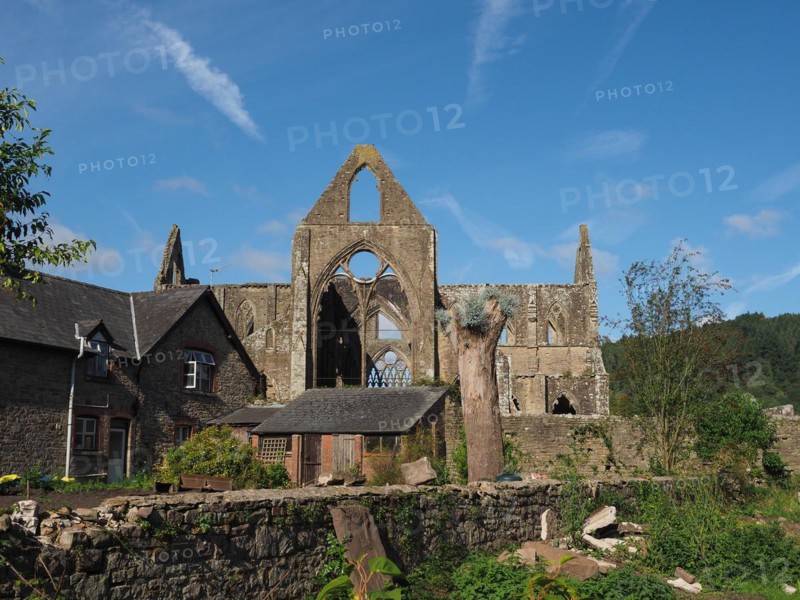 Tintern Abbey