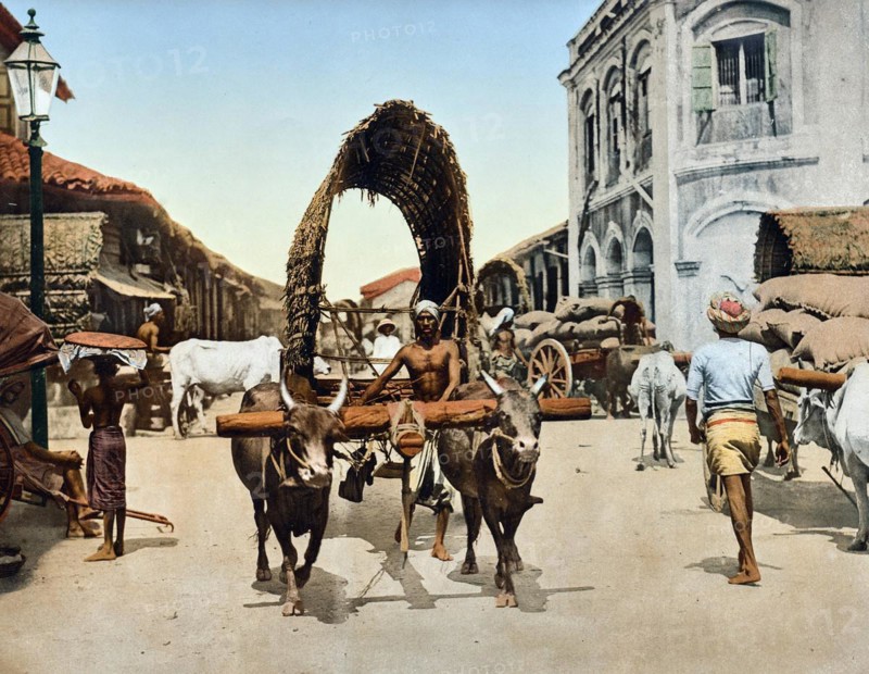 Street scene with an ox cart in Colombo