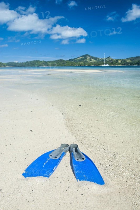 Flippers in the water of the blue lagoon