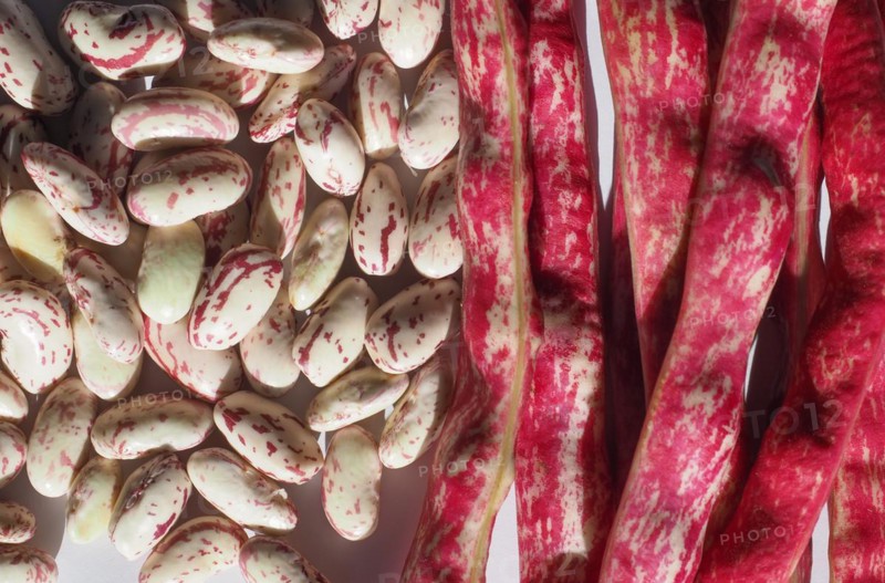 Crimson beans legumes vegetables food