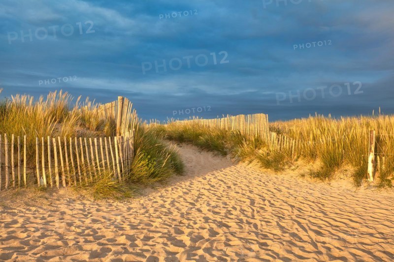 Evening atmosphere on the beach