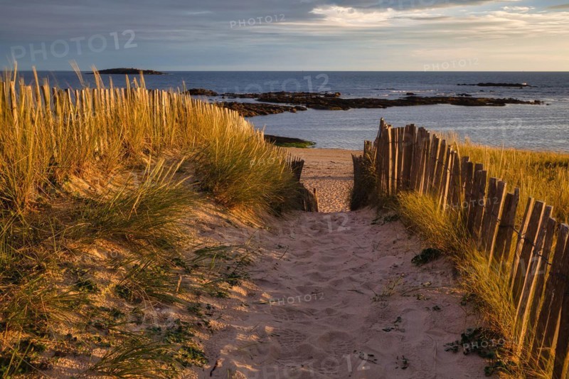 Evening atmosphere on the beach