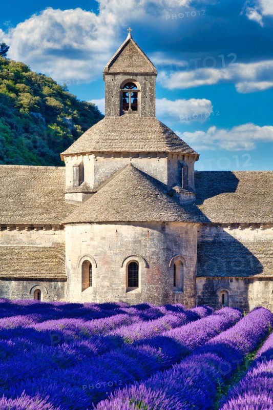 Cistercian Abbey Abbaye Notre-Dame de Senanque