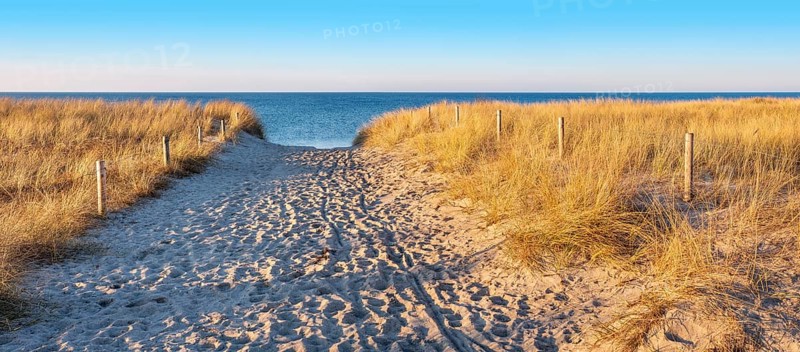Beach access at the Baltic Sea in the evening light