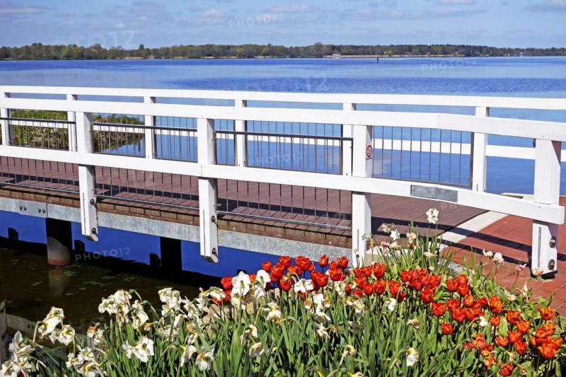 Brueckensteg