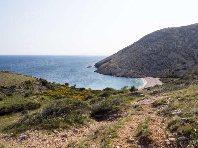 Rugged coastline