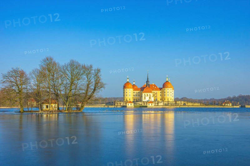 Winterly Moritzburg Castle and Duck Island with group of trees in the half-frozen castle pond