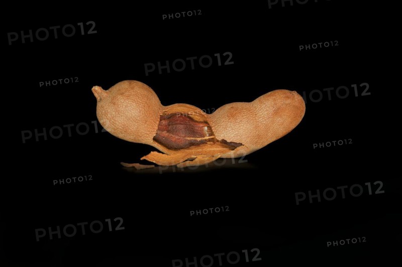 Broken open tamarind