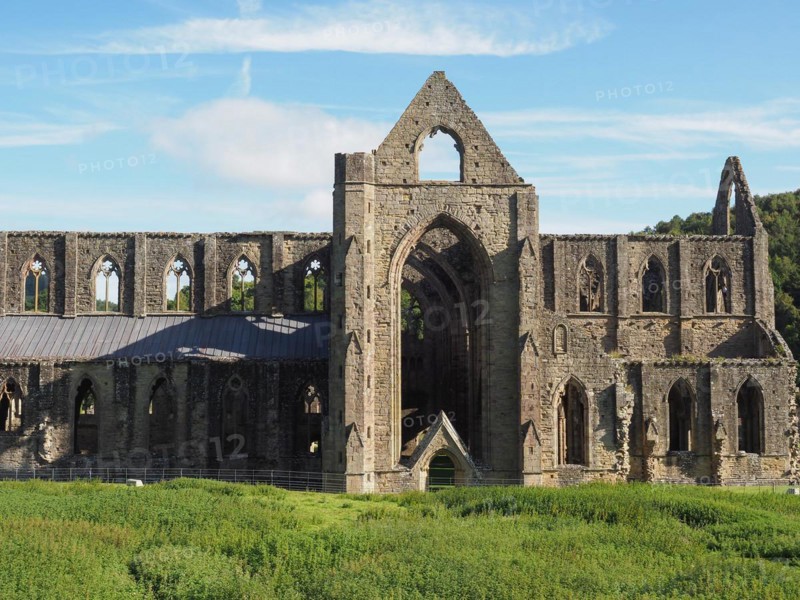Tintern Abbey