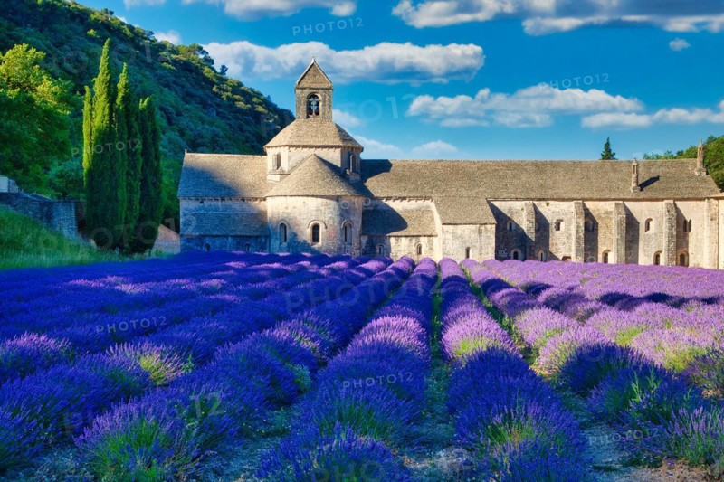 Cistercian Abbey Abbaye Notre-Dame de Senanque