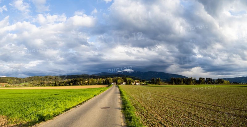 Road to the Thann castle ruins