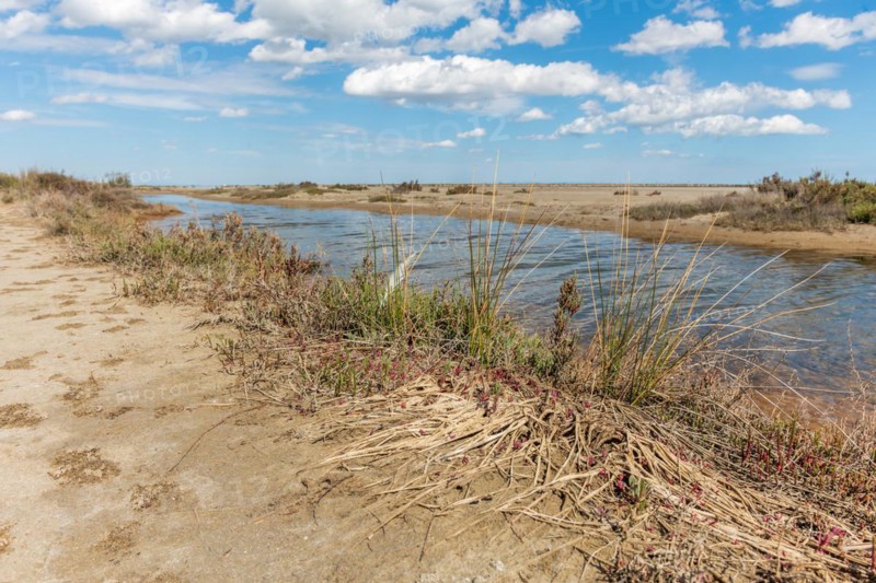 Typical landscape in a lagoon of the Rhone delta in the Camargue. Saintes Maries de la Mer