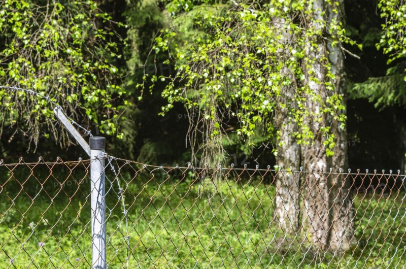 Burglars and thieves cut the top barbed wire of a garden fence to be able to climb over it unharmed