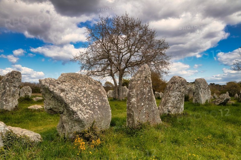 Megalithic stone rows from Kerzerho