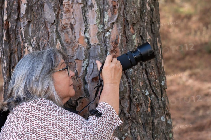 Close-up of a white-haired woman photographer taking a picture leaning on a pine tree